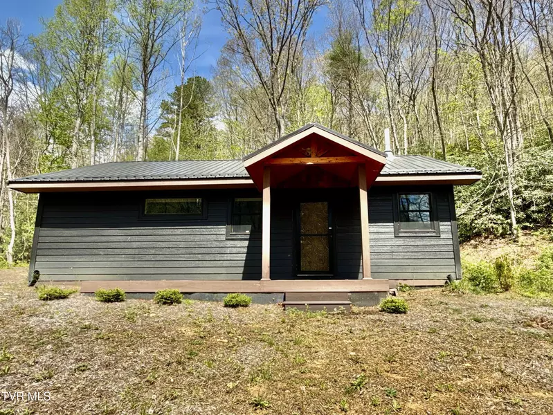 41/Ac Tbd Roan Creek Rd #2, Butler, TN 37640
