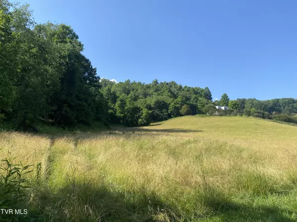 Abingdon, VA 24210,00 Rich Valley (9.23 Ac) RD
