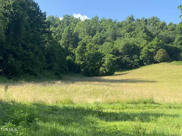 0 Rich Valley (9.23 Ac) RD, Abingdon, VA 24210