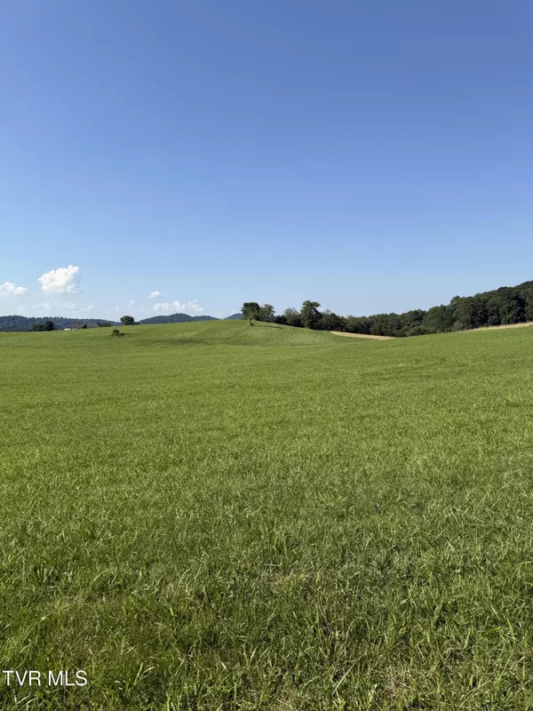 Jonesborough, TN 37659,Lot 3 Mahoney Property, Hwy 81 N