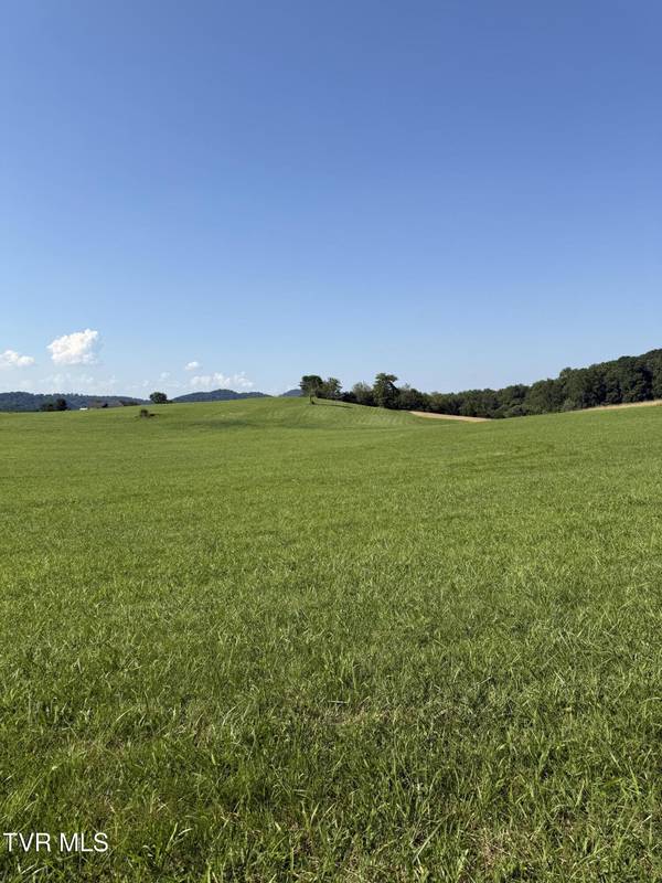Jonesborough, TN 37659,Lot 5 Mahoney Property, Hwy 81 N