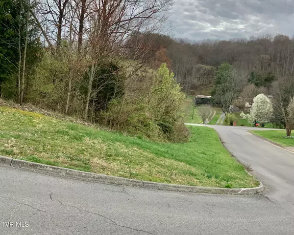 13 Highland Meadows DR, Blountville, TN 37617