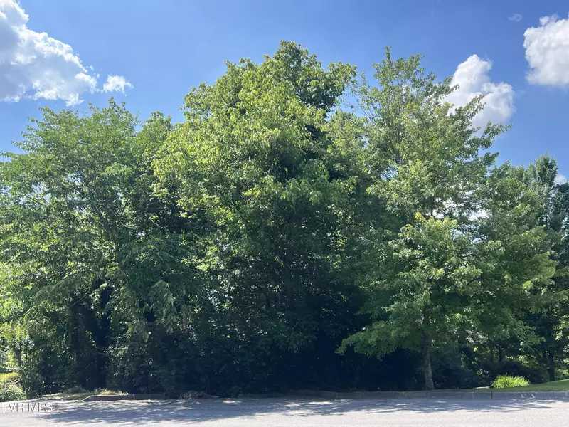 Lot 21 Ledges DR, Kingsport, TN 37664