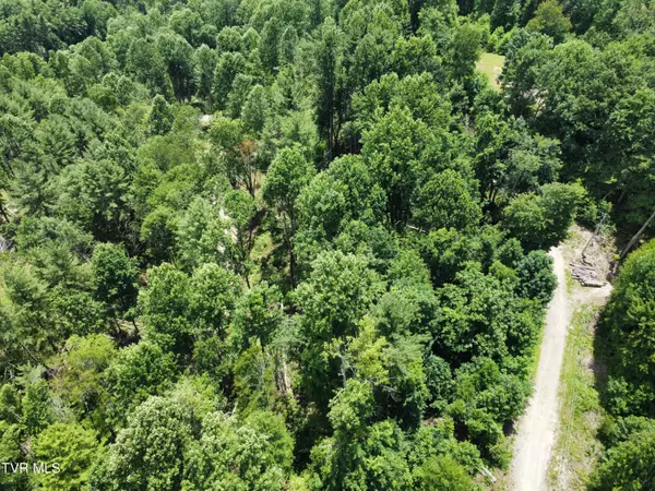 Butler, TN 37640,N Heaton Branch RD