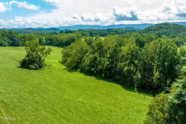 Tbd Ollis Estates Pvt DR, Bristol, TN 37620