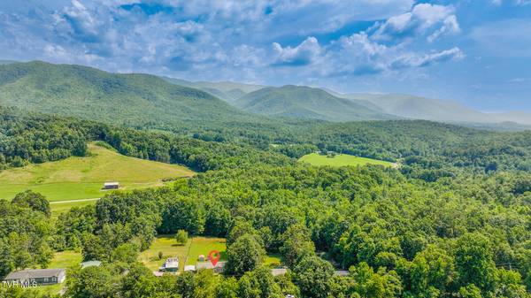 Afton, TN 37616,1070 Bill Martin RD