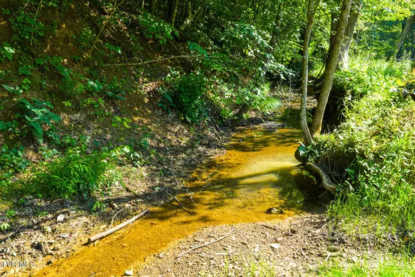 Rogersville, TN 37857,115 Willis RD