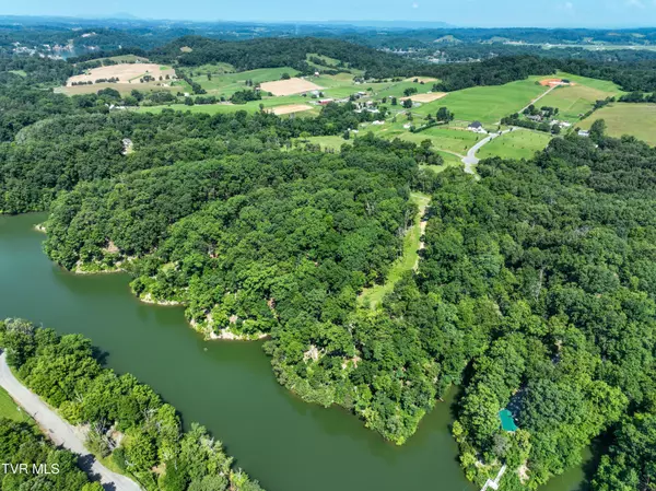 Piney Flats, TN 37686,2246 Turkey Ridge Lane DR