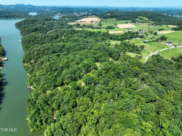 Piney Flats, TN 37686,2297 Turkey Ridge LN