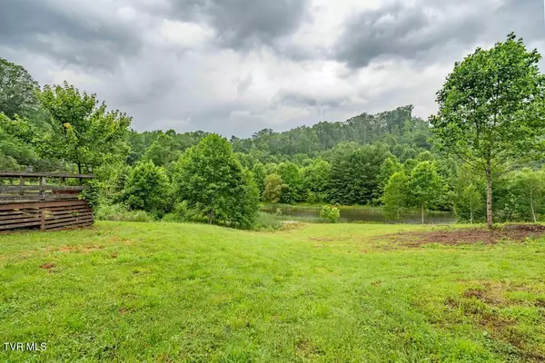 Roan Mountain, TN 37687,306 Bear Branch
