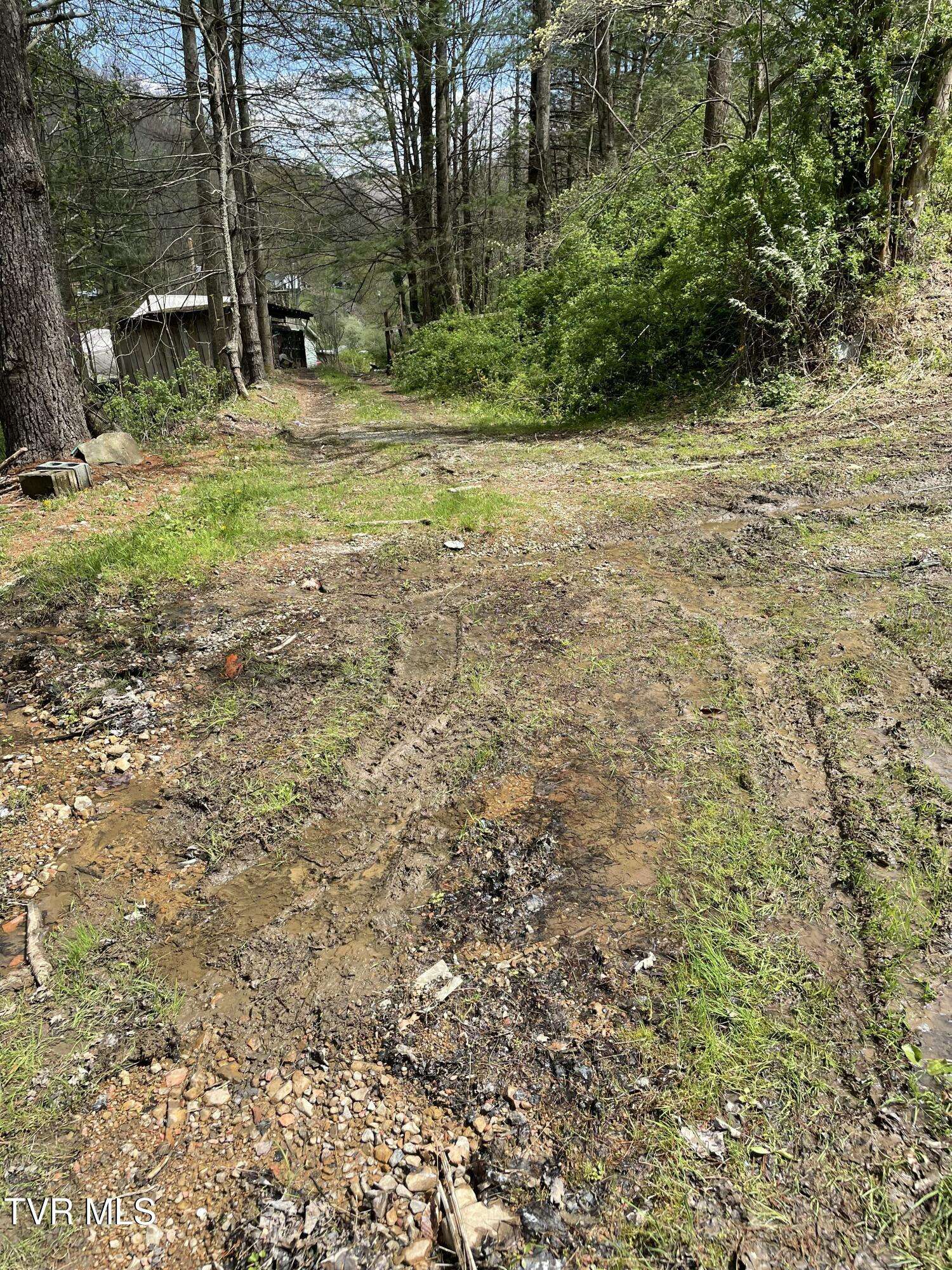 Clintwood, VA 24228,Tbd Crabtree Hollow