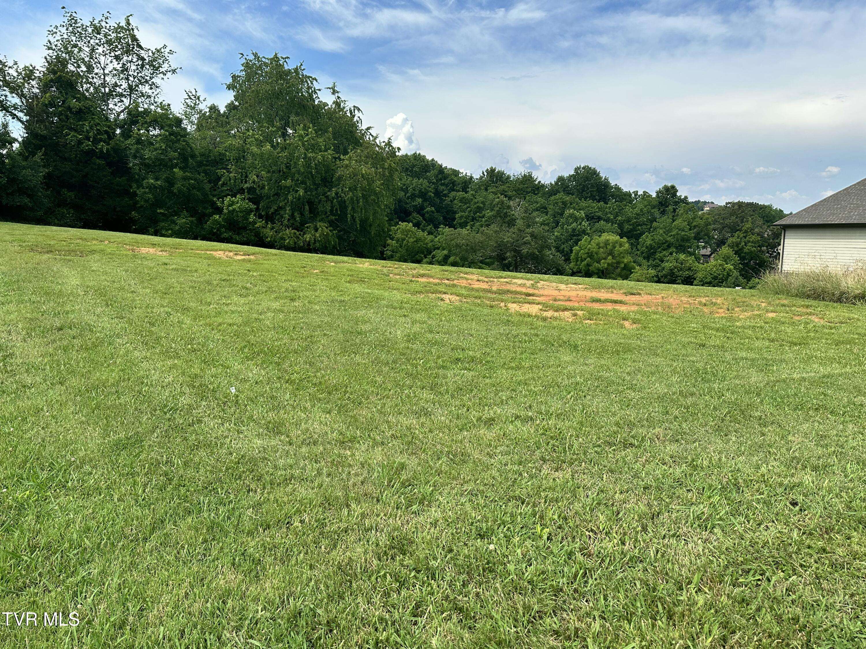 Blountville, TN 37617,129 Forest LN