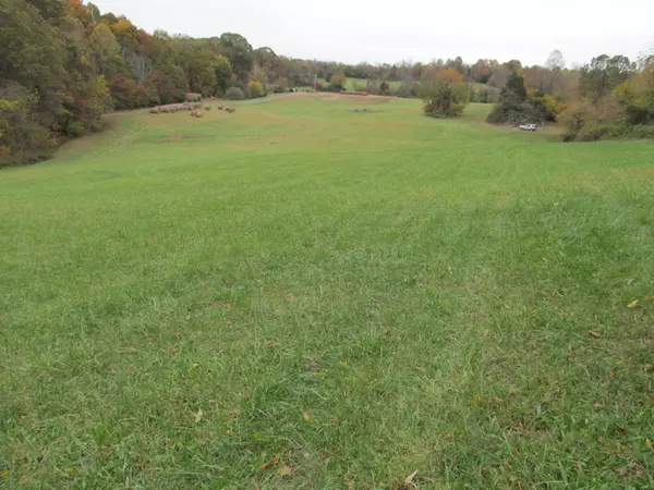 Gray, TN 37615,793 S Pickens Bridge RD