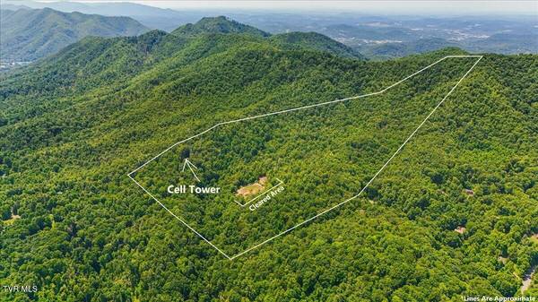 Hampton, TN 37658,225 John Glover RD