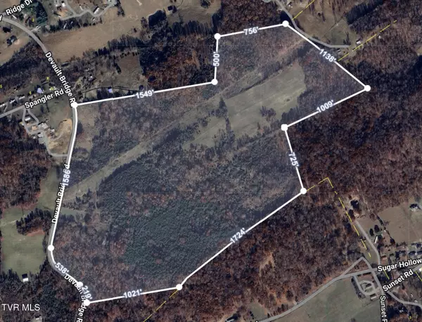 Piney Flats, TN 37686,133 Acres Devault Bridge RD