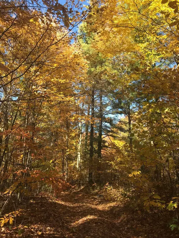 Butler, TN 37640,Lot 16 Diamond Point DR