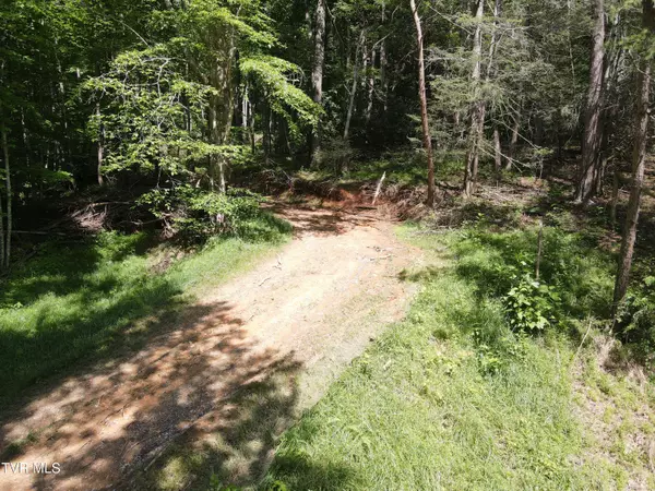Johnson City, TN 37601,Tbd Whispering Pines Rd