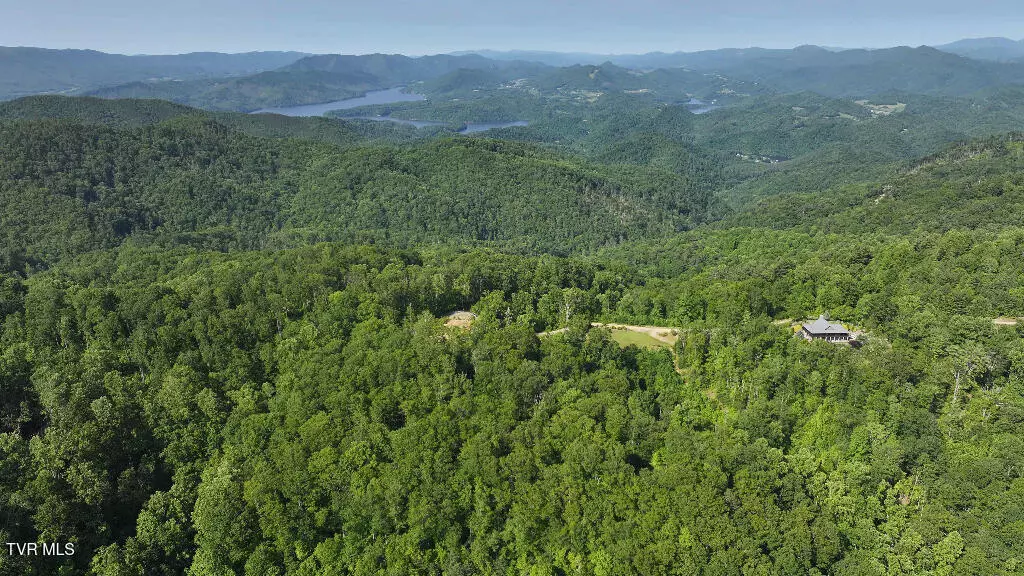 Butler, TN 37640,1405 Tamarack CT