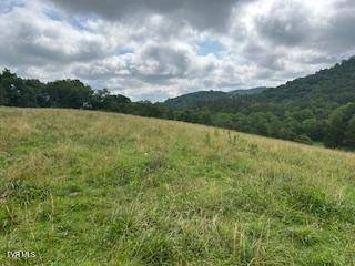 Sneedville, TN 37869,0 0 Trent Valley
