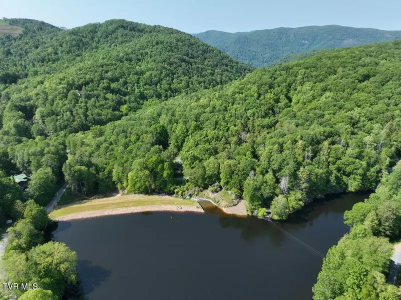 1772 Ripshin Mountain RD, Roan Mountain, TN 37687