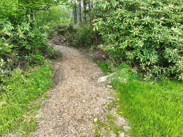 Roan Mountain, TN 37687,1772 Ripshin Mountain RD
