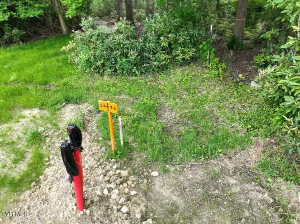 Roan Mountain, TN 37687,1776 Ripshin Mountain RD