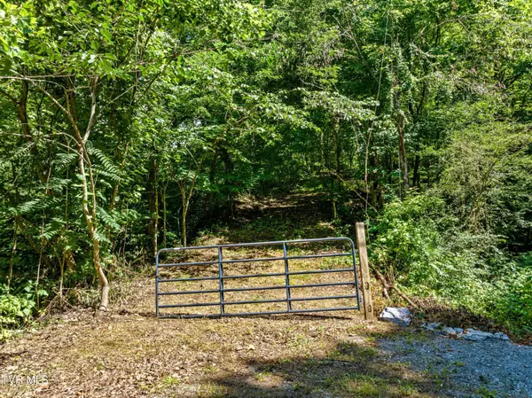 Mooresburg, TN 37811,00 Shortt 10.25 Acres RD