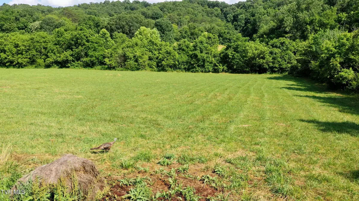 Bulls Gap, TN 37711,350 Vfw RD