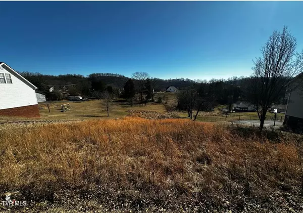 Kingsport, TN 37664,Tbd Clearwater DR