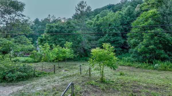 Hampton, TN 37658,1555 Hwy 321