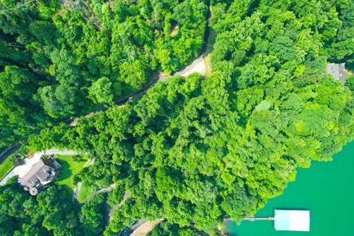 Lot 14 Diamond Point DR, Butler, TN 37640