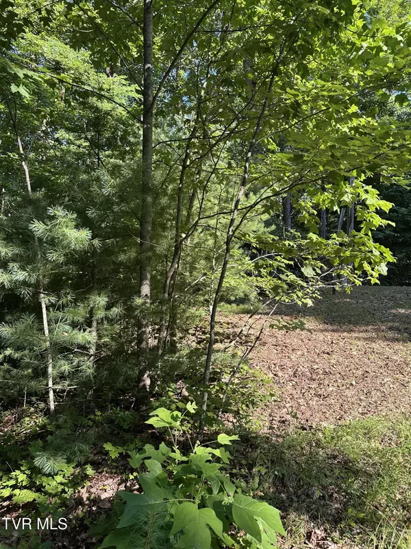 Mountain City, TN 37683,1501 Sprucy Ridge Private RD