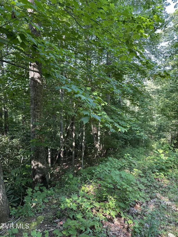 Mountain City, TN 37683,1501 Sprucy Ridge Private RD