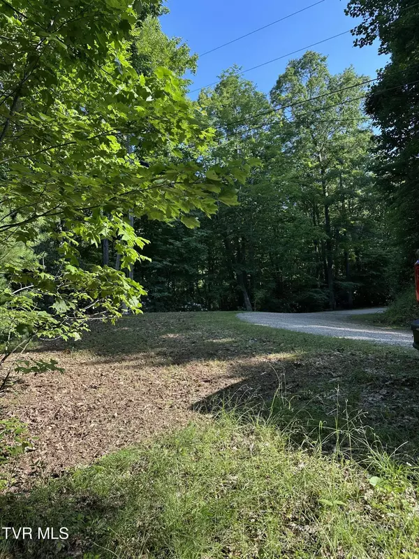 Mountain City, TN 37683,1501 Sprucy Ridge Private RD