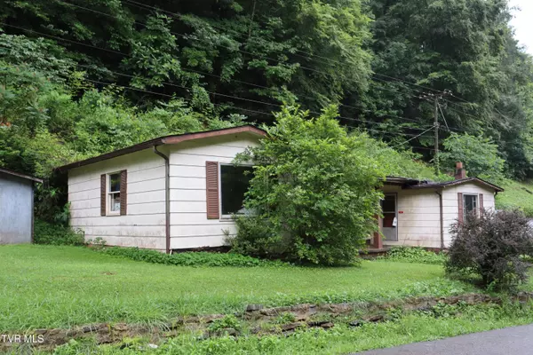 Birchleaf, VA 24220,362 Rakes Ridge RD