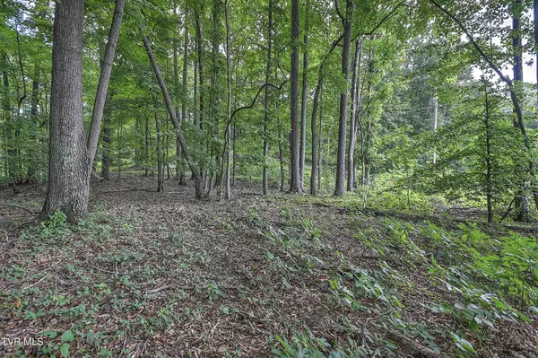 Church Hill, TN 37642,Tract  2r Payne Ridge RD