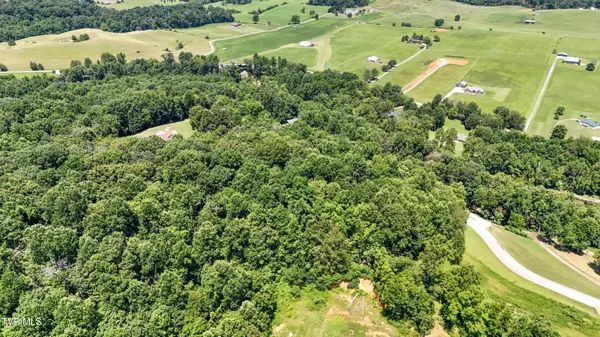 Bluff City, TN 37618,Tbd Tailwater RD