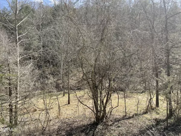 Eidson, TN 37731,1028 Pumpkin Valley RD