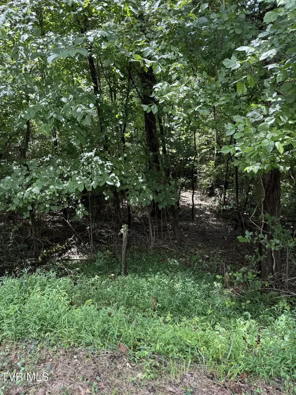 Johnson City, TN 37615,0 Log Cabin LN