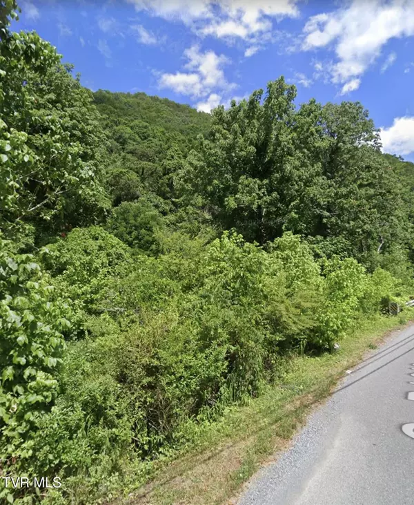 Saltville, VA 24370,Tbd Allison Gap