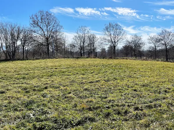 Parrottsville, TN 37843,4 Acres Highway 321