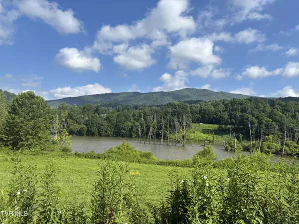 Tbd Roan Creek RD, Butler, TN 37640