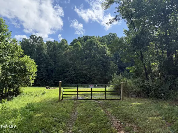 Bluff City, TN 37618,105 Tailwater RD