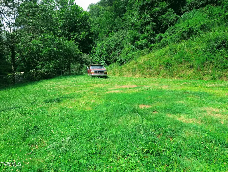 782 Rock Lick RD, Birchleaf, VA 24220