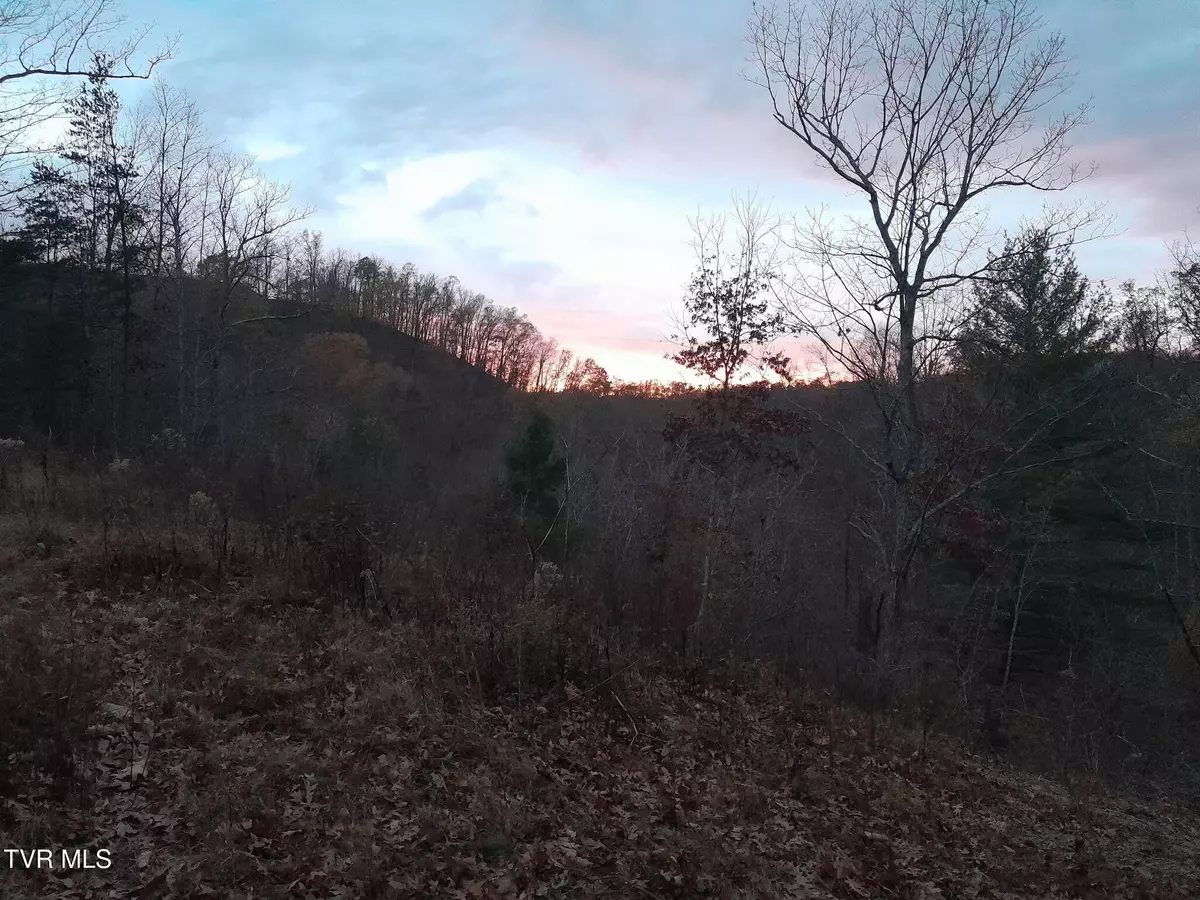 Watauga, TN 37694,253 Honey Dew LN