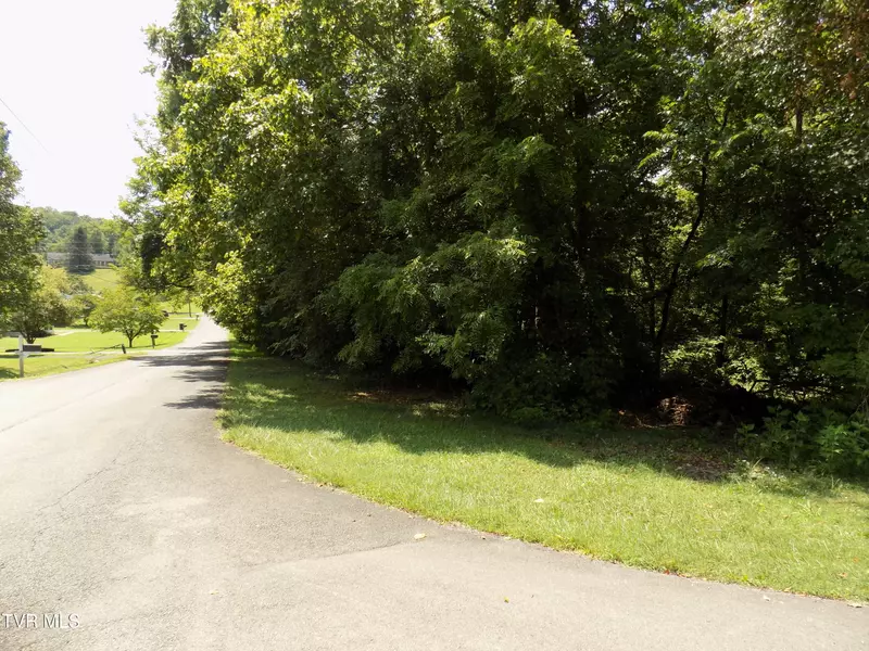 Tbd Lakeshore Circle, Rogersville, TN 37857