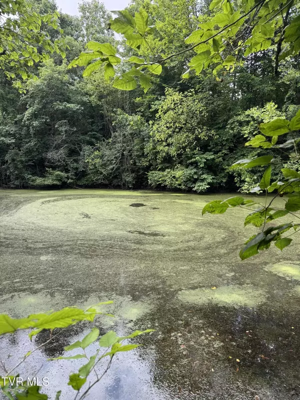 Rogersville, TN 37857,102 Perry Smith LN