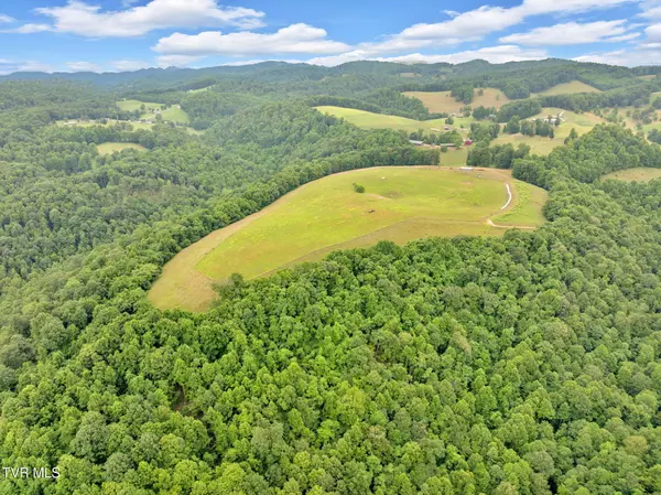 Fort Blackmore, VA 24250,000 Strong Hollow LN