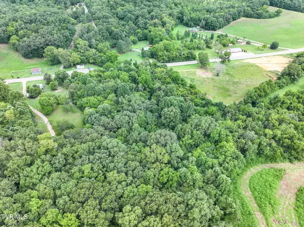 Greeneville, TN 37745,4.33 Ac Baileyton RD