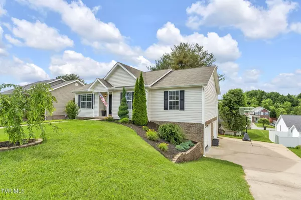 Bluff City, TN 37618,118 Violet LN